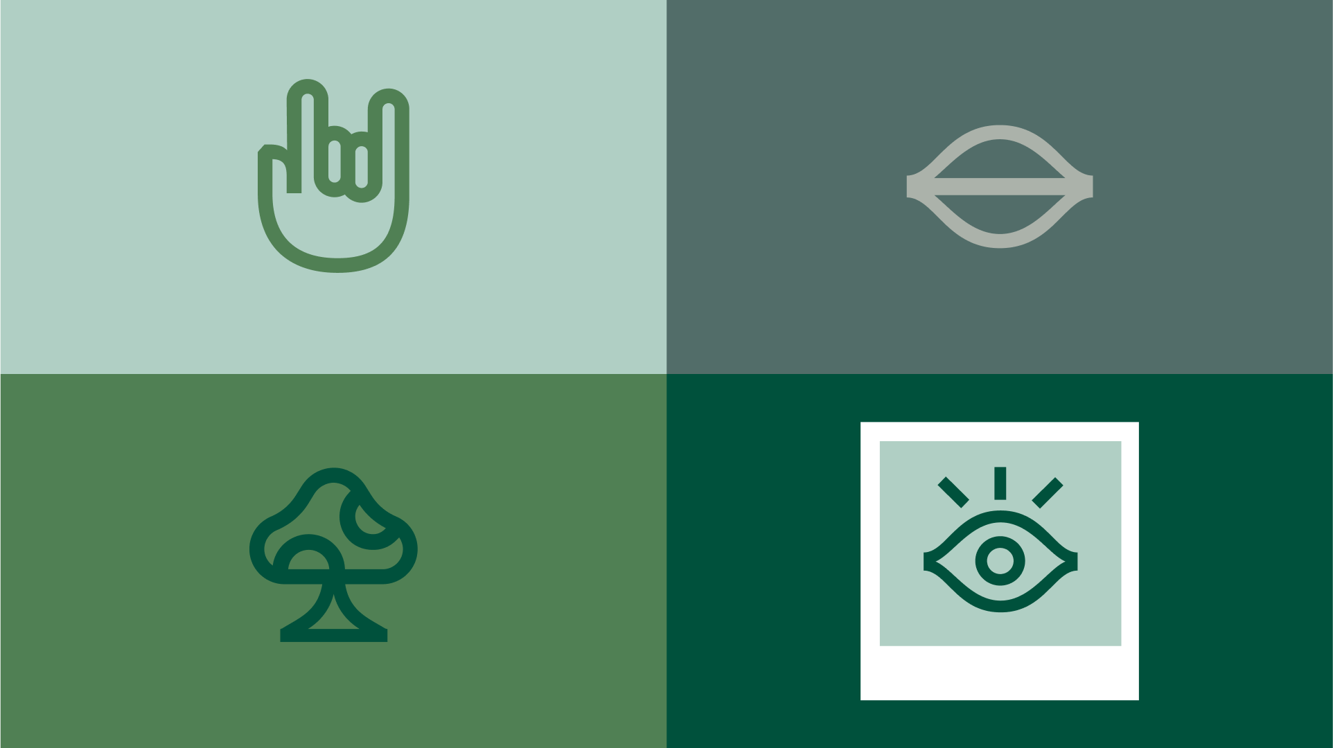 Brand Design Development — BUCK